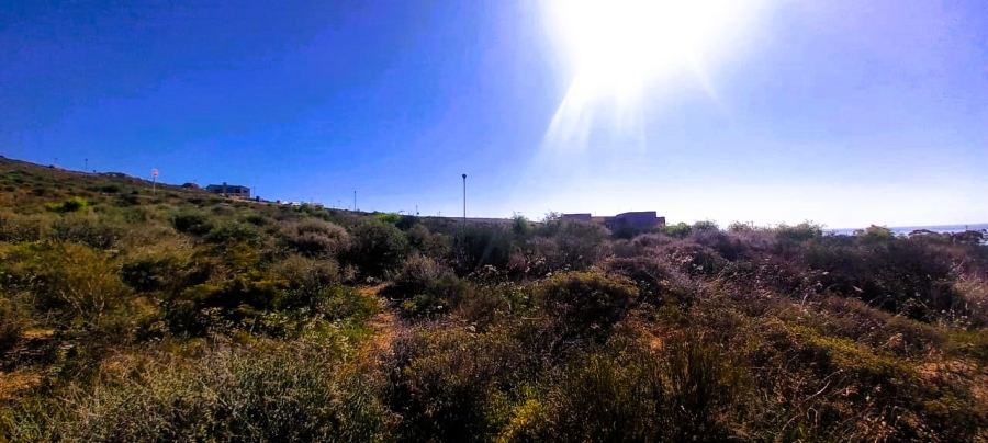 0 Bedroom Property for Sale in Steenbergs Cove Western Cape